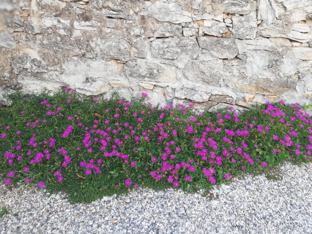 Bed & Breakfast Barbara Borgo Grotta Gigante 外观 照片