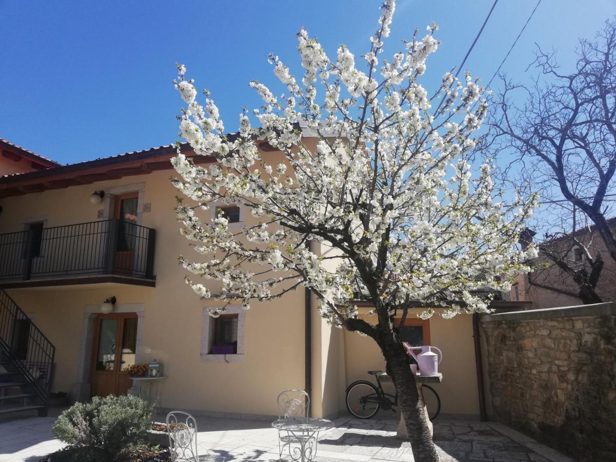 Bed & Breakfast Barbara Borgo Grotta Gigante 外观 照片