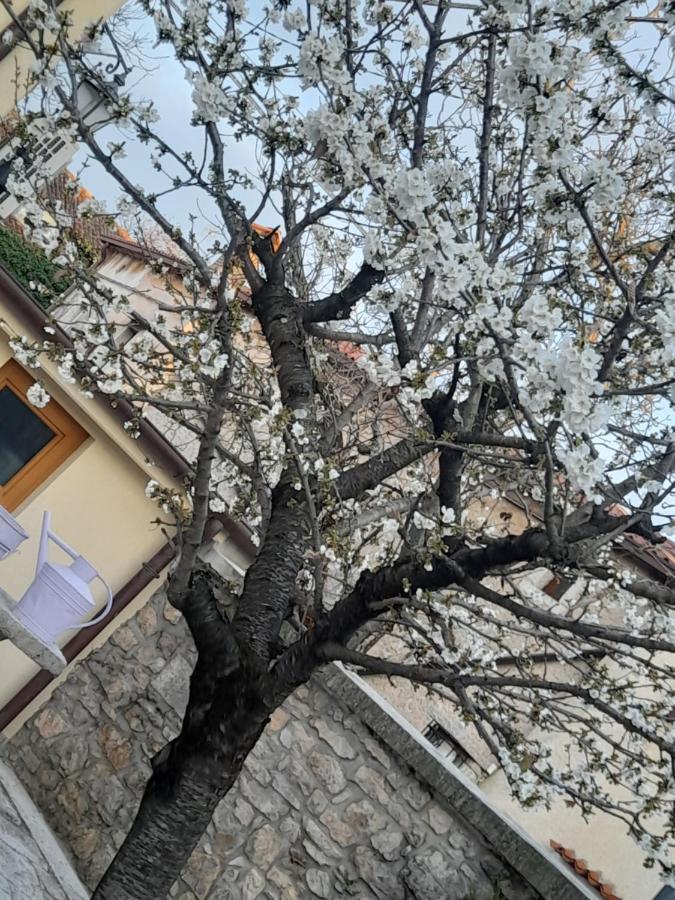 Bed & Breakfast Barbara Borgo Grotta Gigante 外观 照片