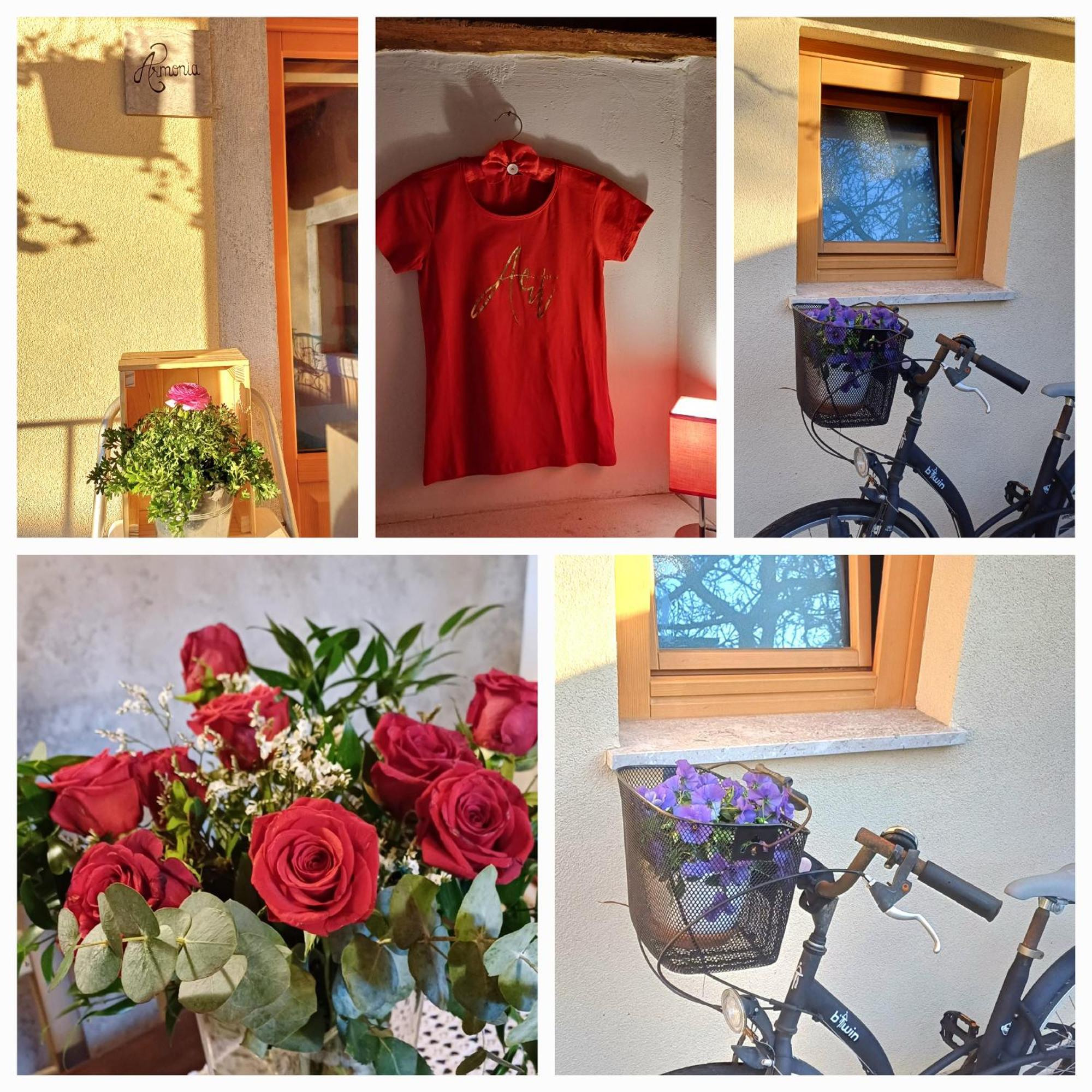 Bed & Breakfast Barbara Borgo Grotta Gigante 外观 照片