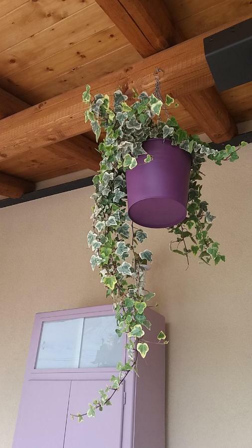 Bed & Breakfast Barbara Borgo Grotta Gigante 外观 照片
